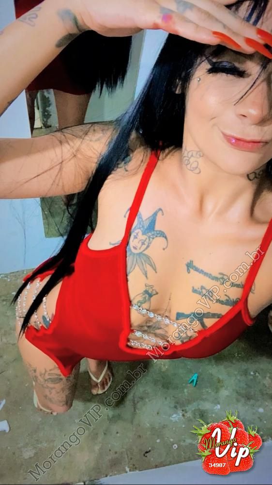 Acompanhantes em  - 